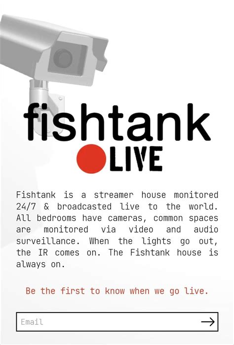 is fishtank.live down|fishtank